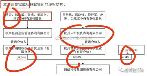 大汉软件ipo尴尬审核 标杆产品健康码已下架蚂蚁已解绑