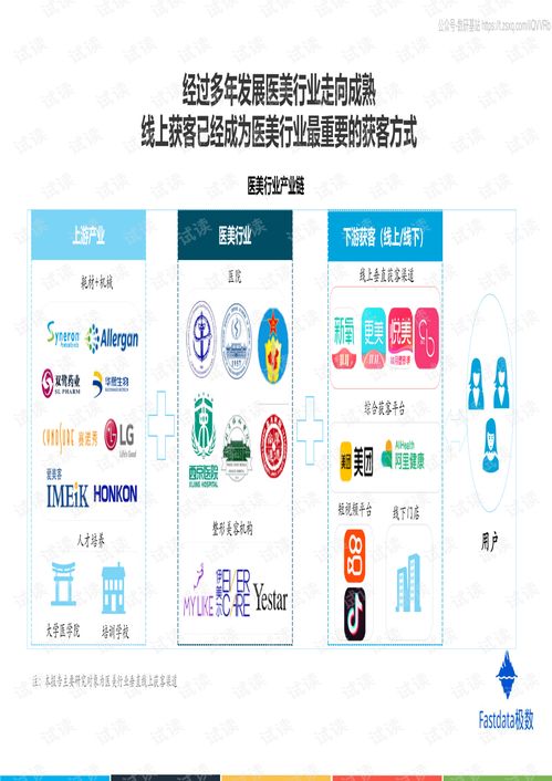 2020年中国互联网医美行业发展分析报告精品报告2020.pdf