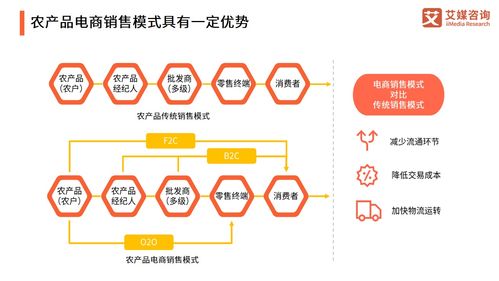 艾媒咨询 2021年中国农产品电商发展报告